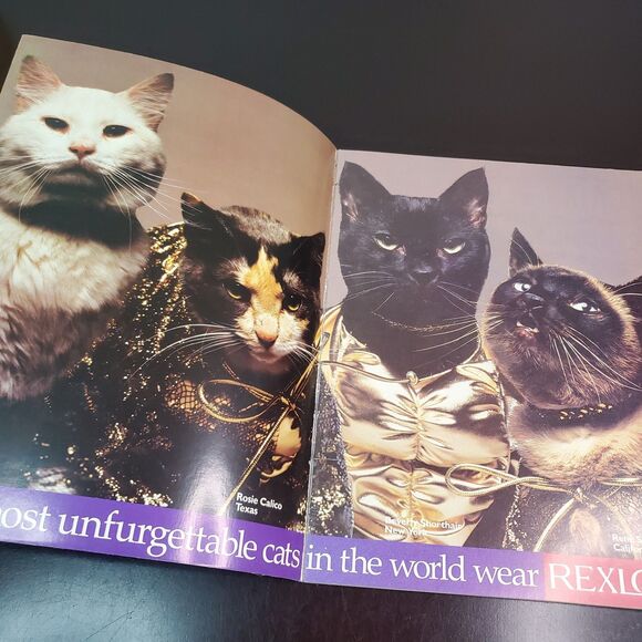 CATMOPOLITAN Magazine Humorous Tribute to Cats by Ilene Hochberg 1987 - Picture 6 of 16
